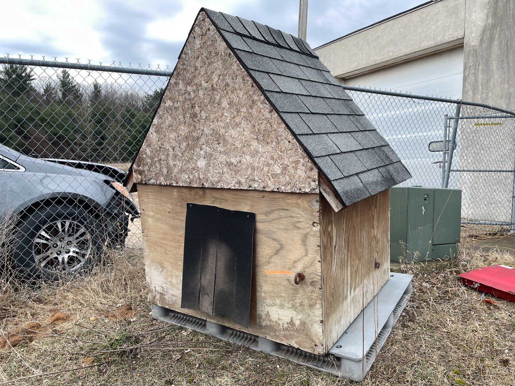 Handmade Dog House