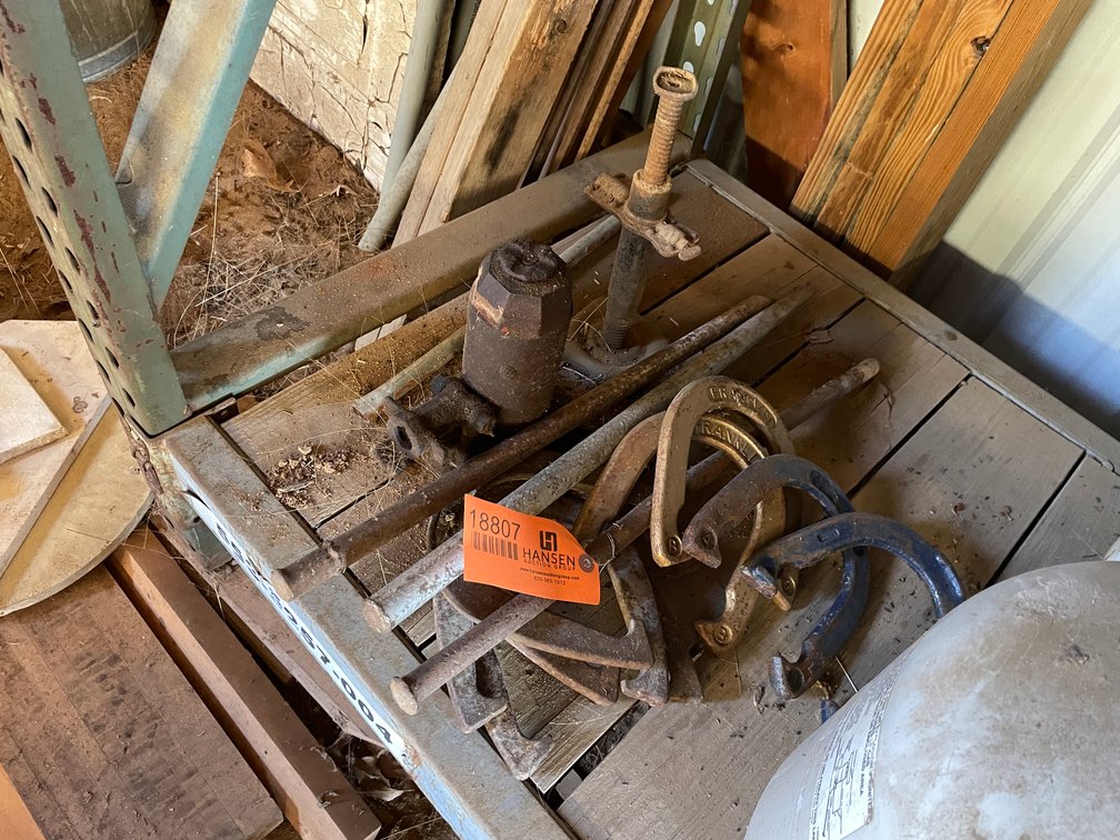 Horse Tack Equipment and More