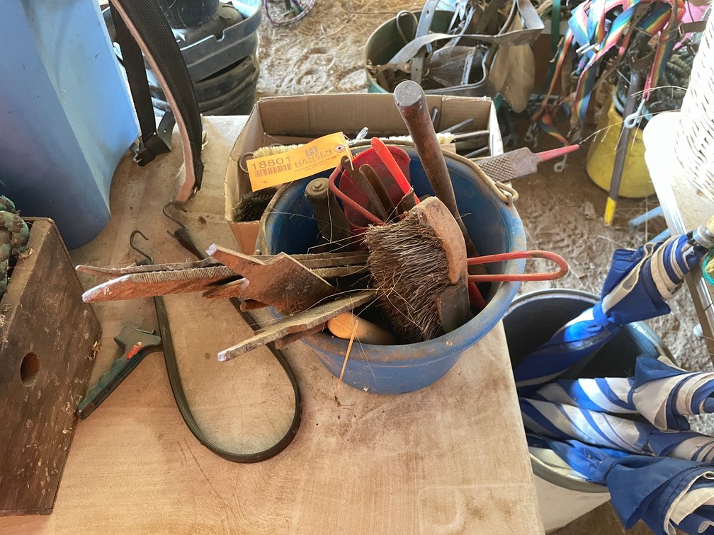 Horse Maintenance Items