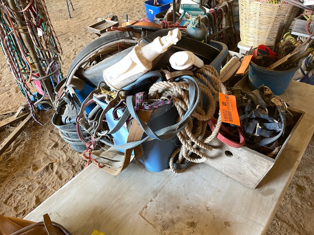 Horse Tack Equipment