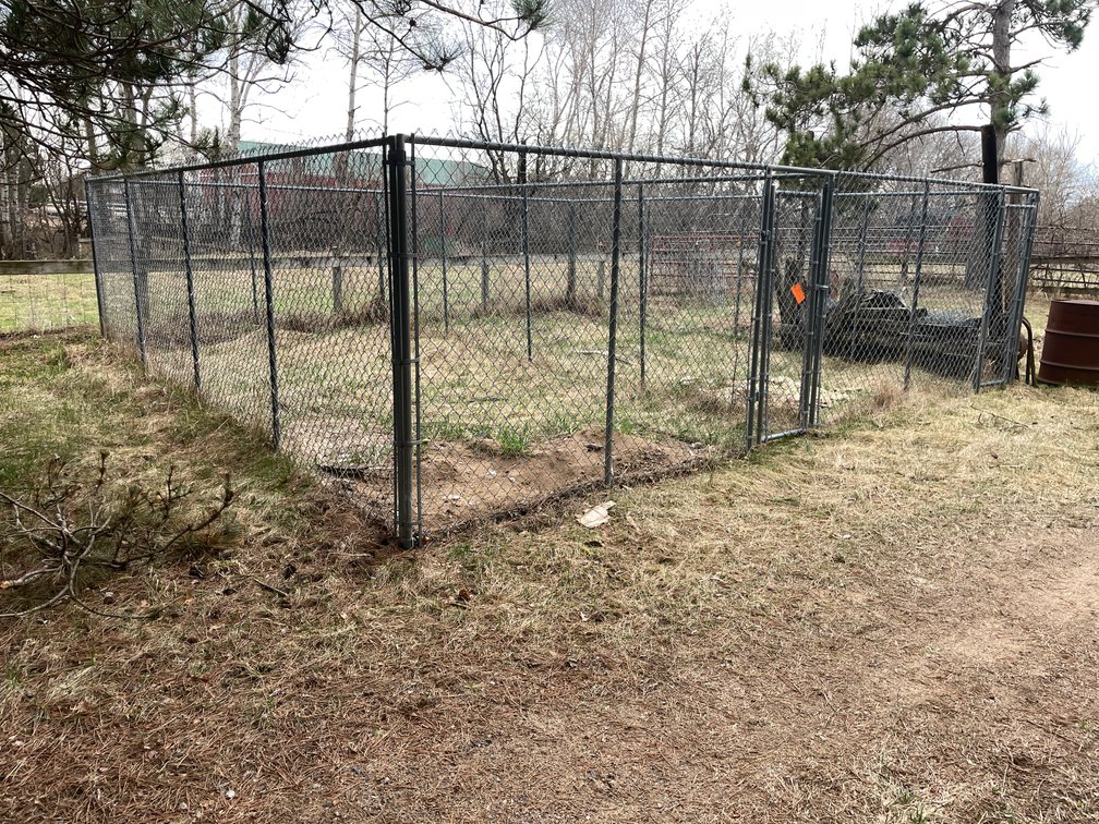 Dog Kennel