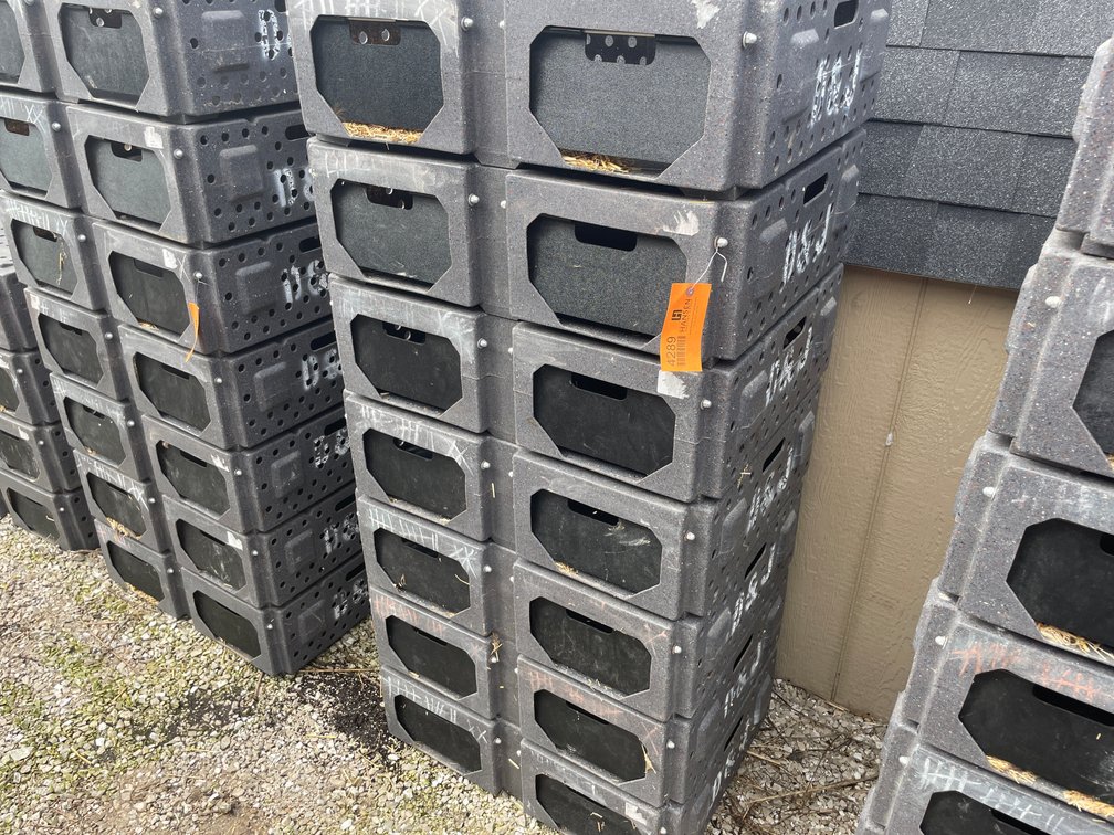 (7) Ruffland Cackle Boxes