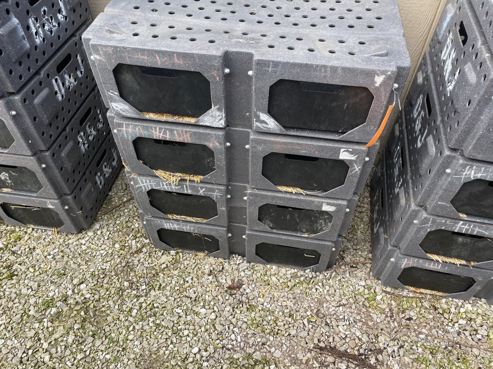 (4) Ruffland Cackle Boxes