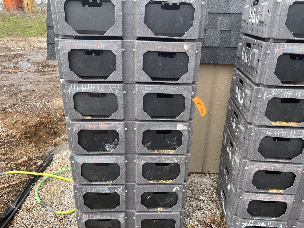 (7) Ruffland Cackle Boxes