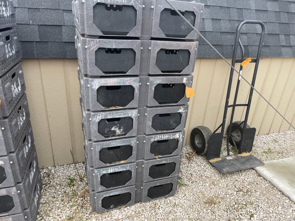 (7) Ruffland Cackle Boxes