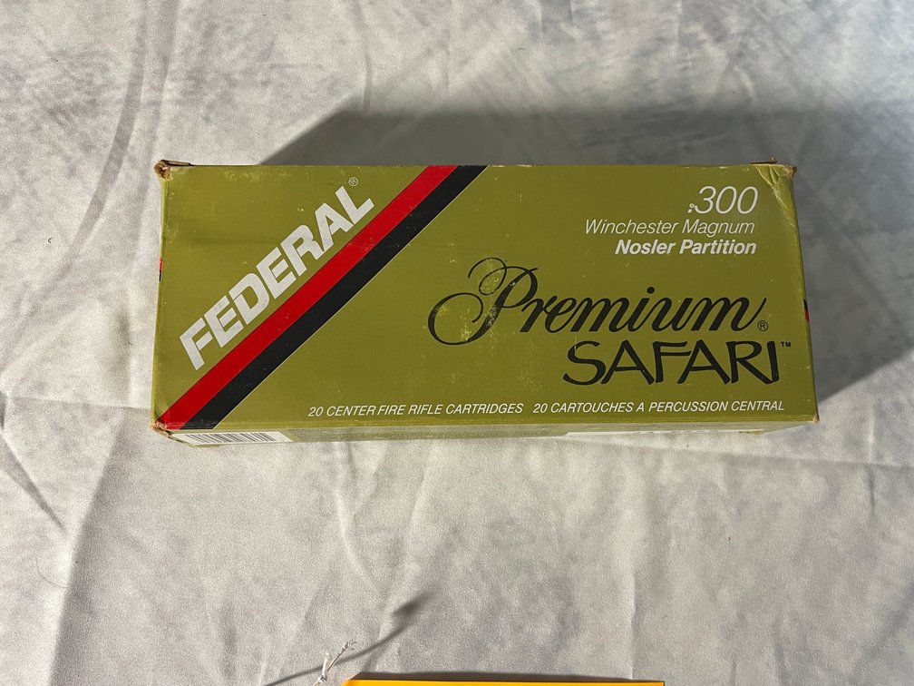 Federal Premium Safari .300 WIN (Arcadia, WI)