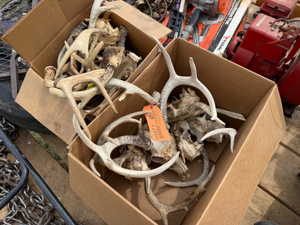 (2) Boxes of Whitetail Deer Antlers
