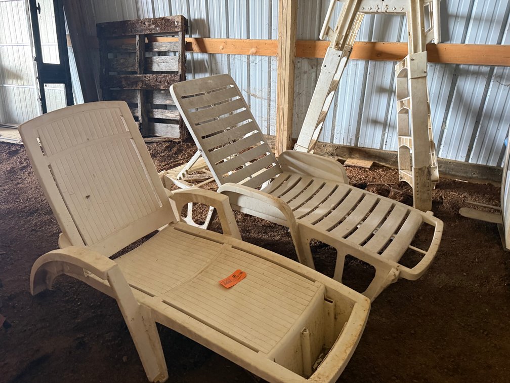 (2) Plastic Sun Chairs and Pool Ladder