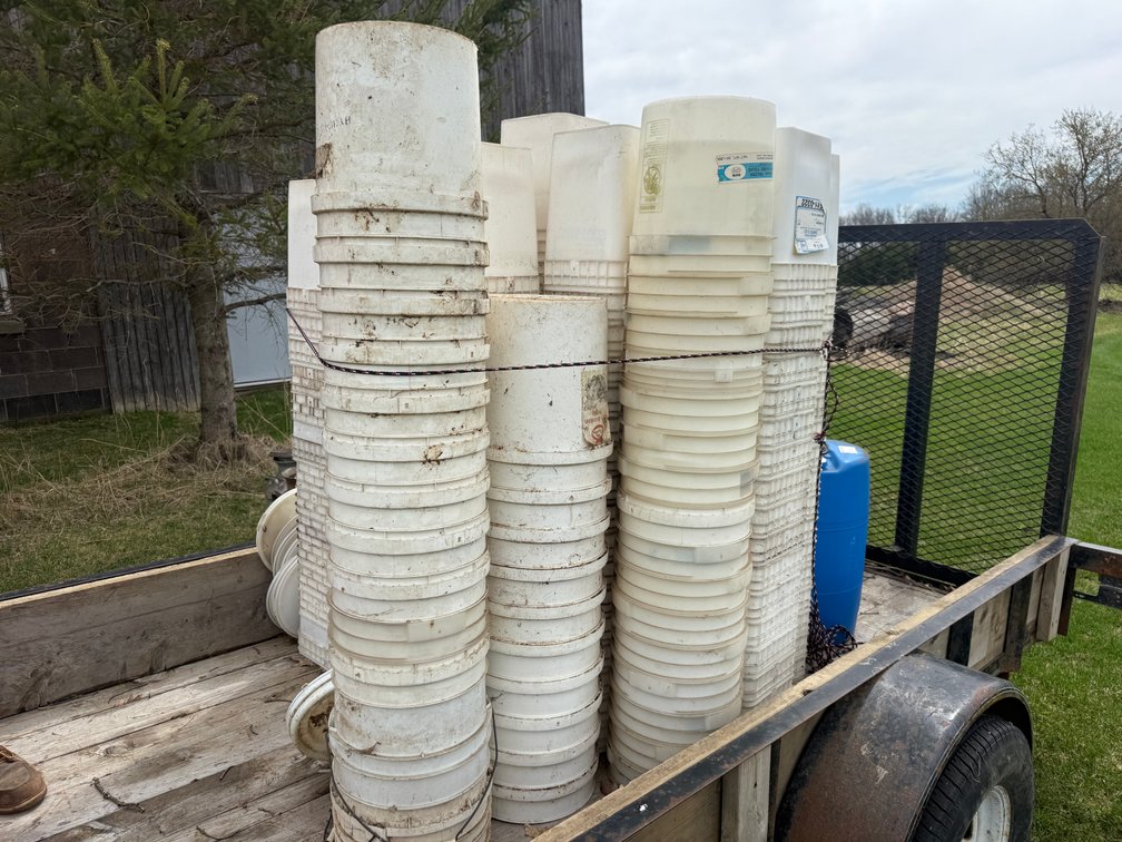Large Quantity of Plastic Pails