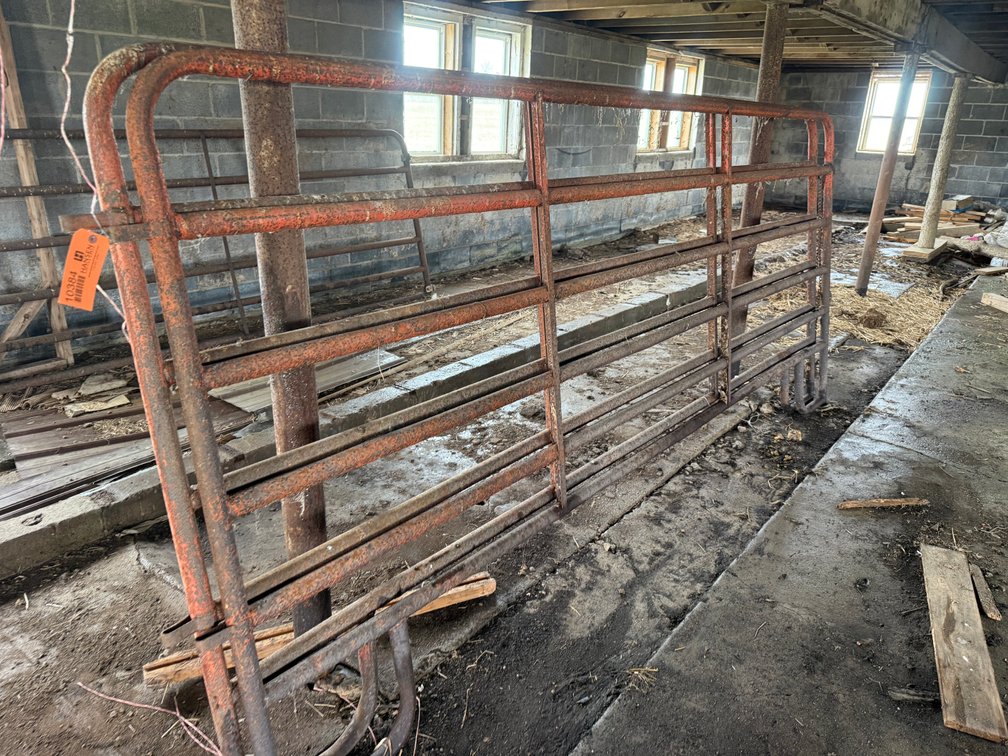 (2) Metal Corral Panels