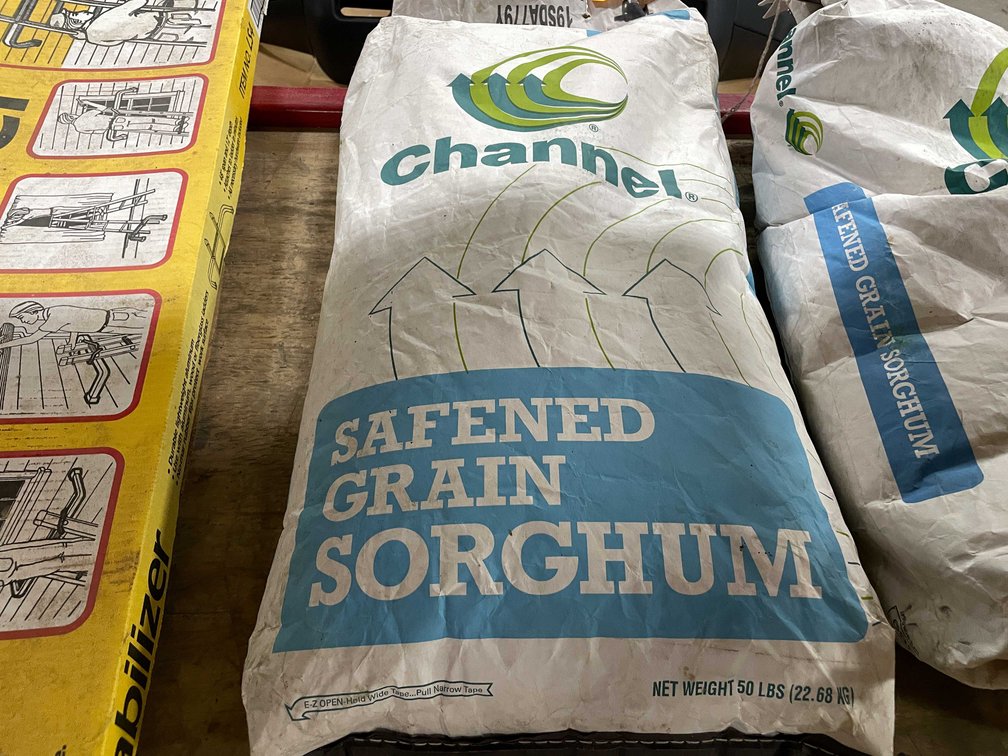 Sorghum (PR20)