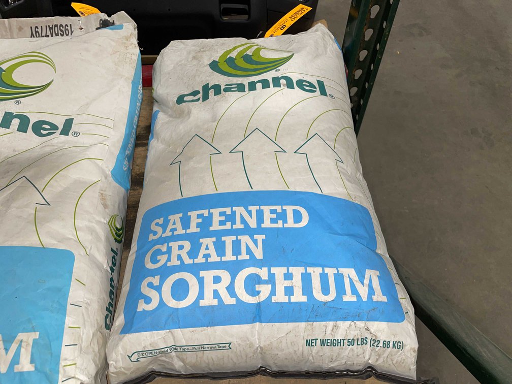Sorghum (PR20)