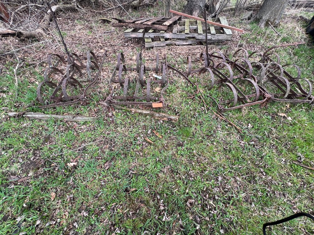 4 Section Spring Tooth
