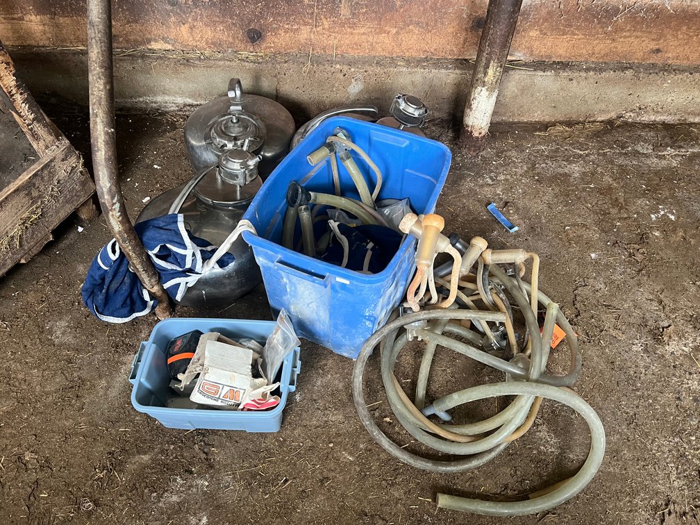 Sheep Milking Equipment