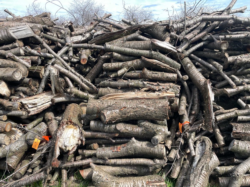 Door County Cherry Wood (Sturgeon Bay, WI)