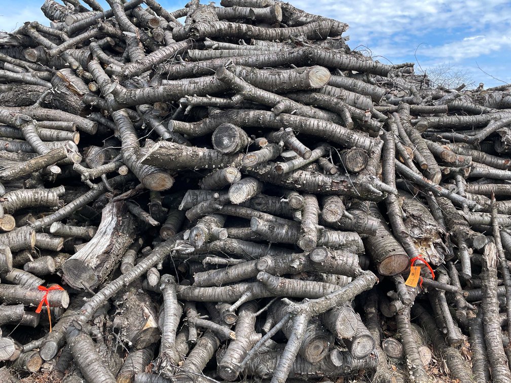 Door County Cherry Wood (Sturgeon Bay, WI)