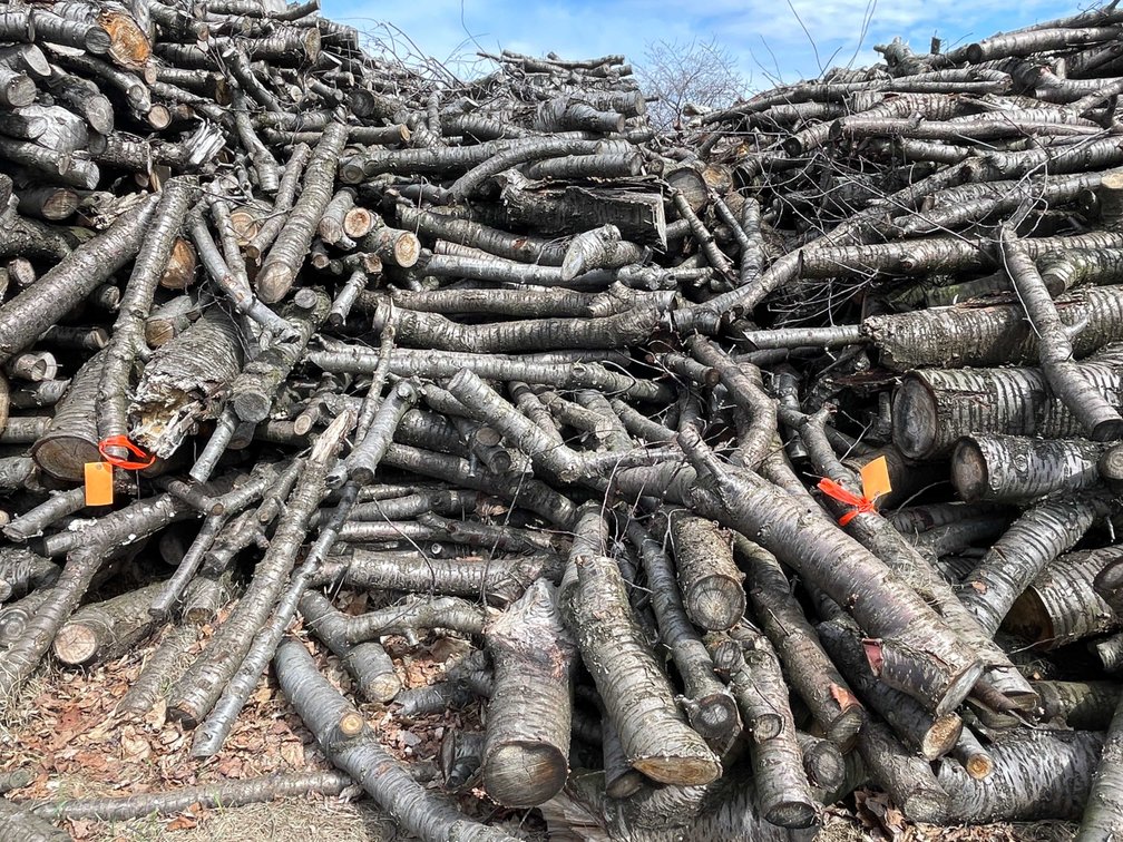 Door County Cherry Wood (Sturgeon Bay, WI)