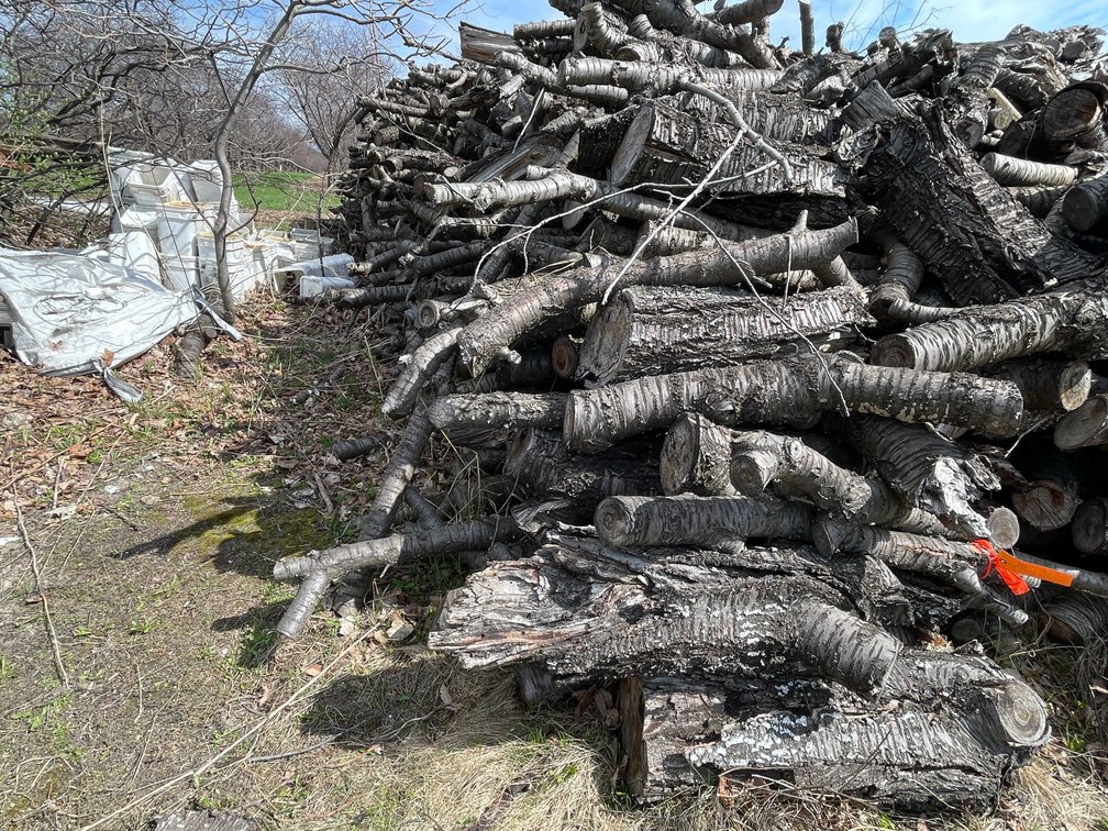 Door County Cherry Wood (Sturgeon Bay, WI)
