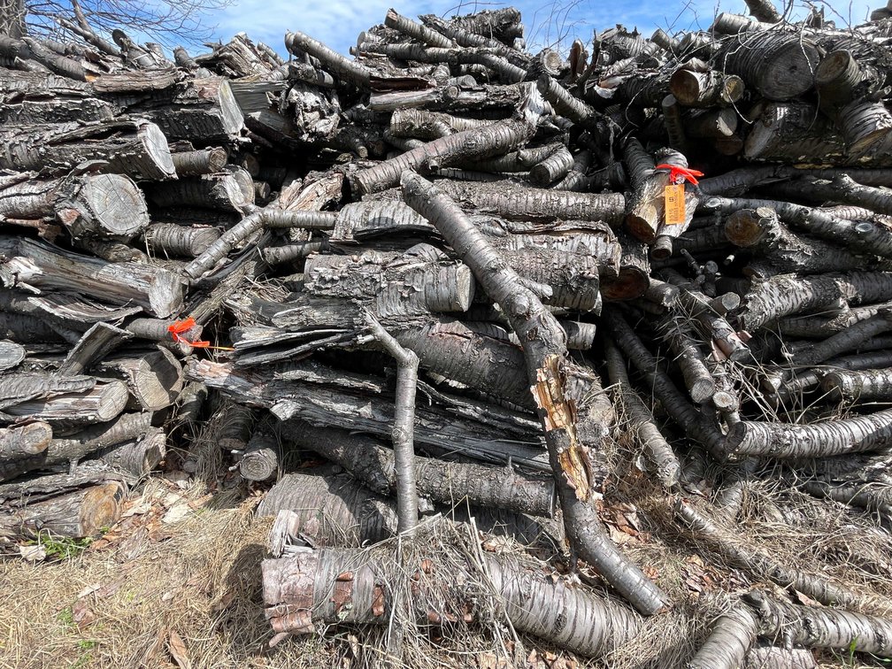Door County Cherry Wood (Sturgeon Bay, WI)