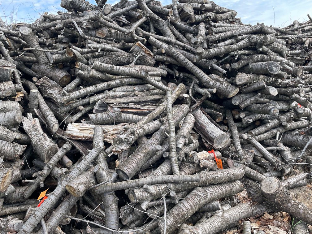 Door County Cherry Wood (Sturgeon Bay, WI)