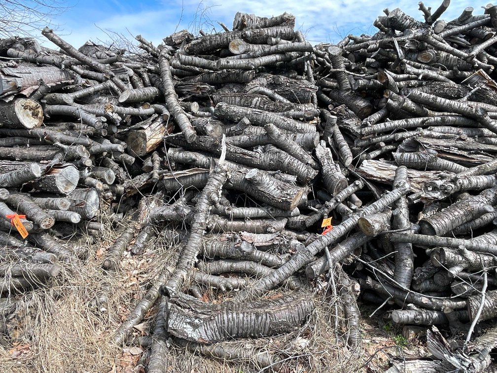 Door County Cherry Wood (Sturgeon Bay, WI)