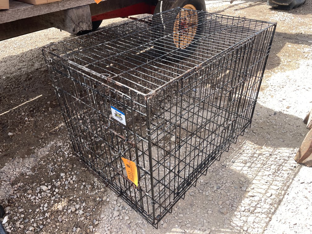 Pet Lodge Kennel