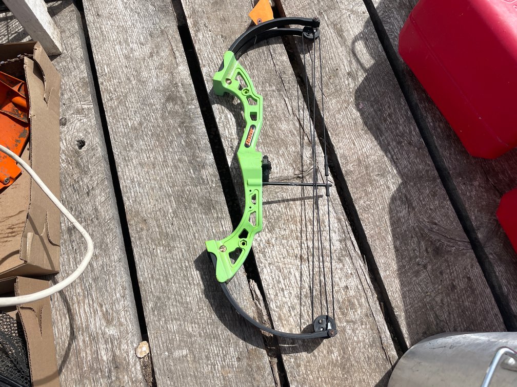 Bear Youth Compound Bow