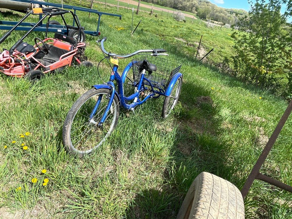 Schwinn Meridian Trike