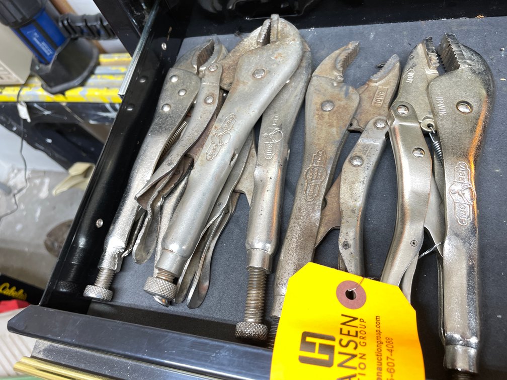 (5) Vise Grips