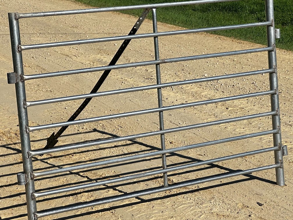(3) 5' Sheep Panel