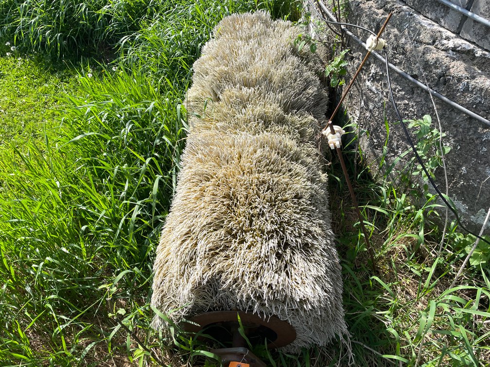 5' Cattle Brush