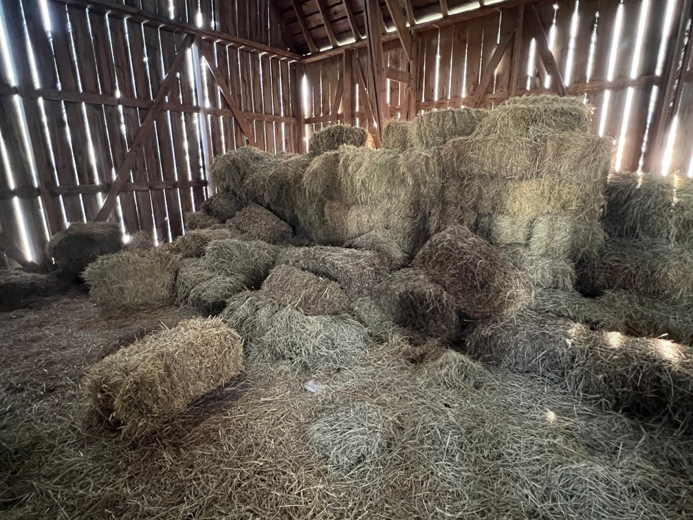 Contents in the Haymow