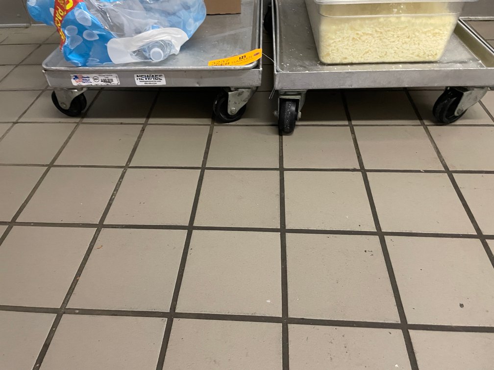 (2) 4-Wheel Aluminum Dolly Carts