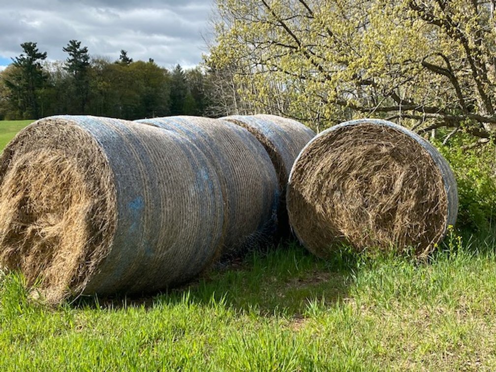 (10) 2025 Net Wrapped Grass Hay Bales (Stone Lake, WI)