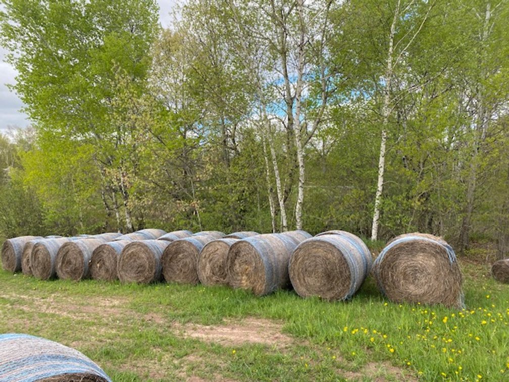 (10) 2025 Net Wrapped Grass Hay Bales (Stone Lake, WI)