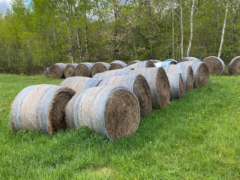 (10) 2025 Net Wrapped Grass Hay Bales (Stone Lake, WI)