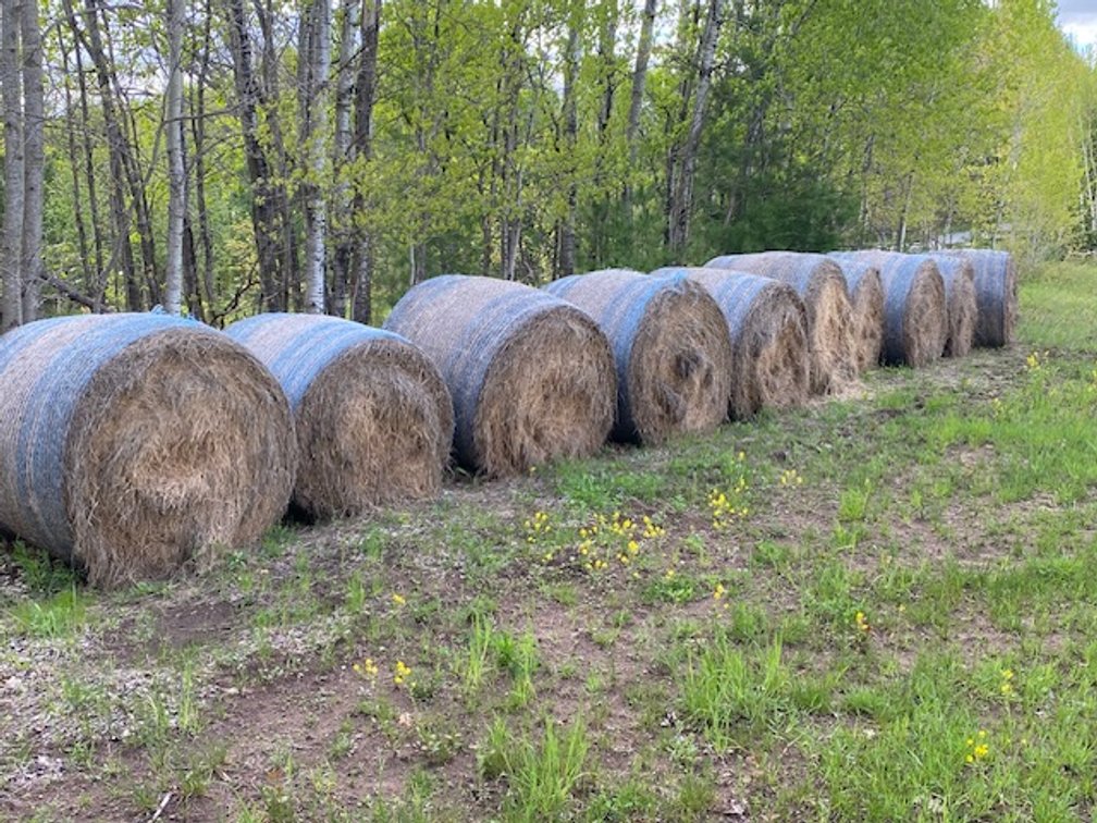 (10) 2025 Net Wrapped Grass Hay Bales (Stone Lake, WI)