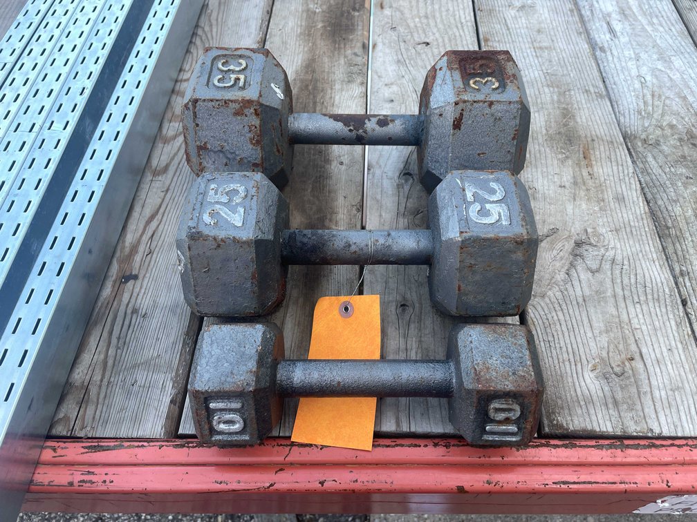 (3) Dumbell Weights