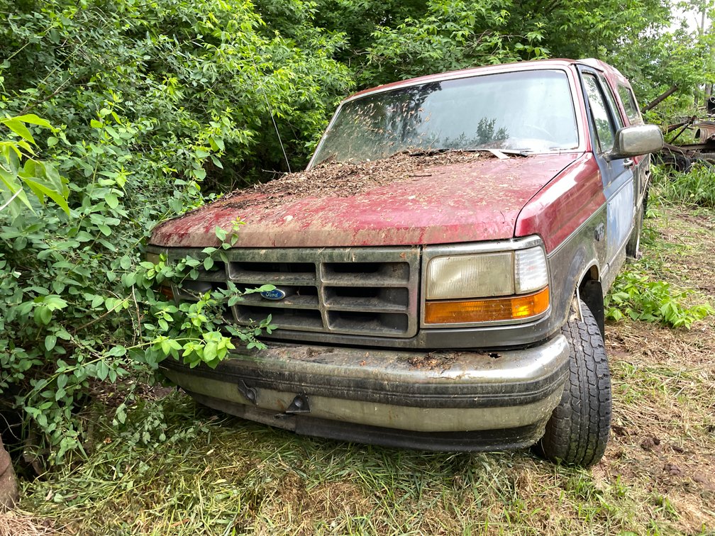 1993 Ford F-150 Pickup Truck (Has WI Title)