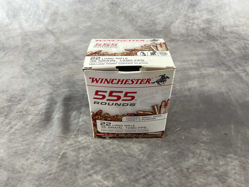 22LR Ammo (Neenah, WI)