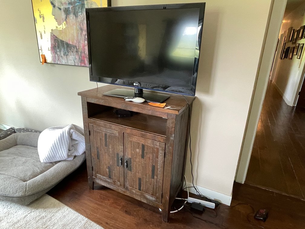 42" LG TV with Stand