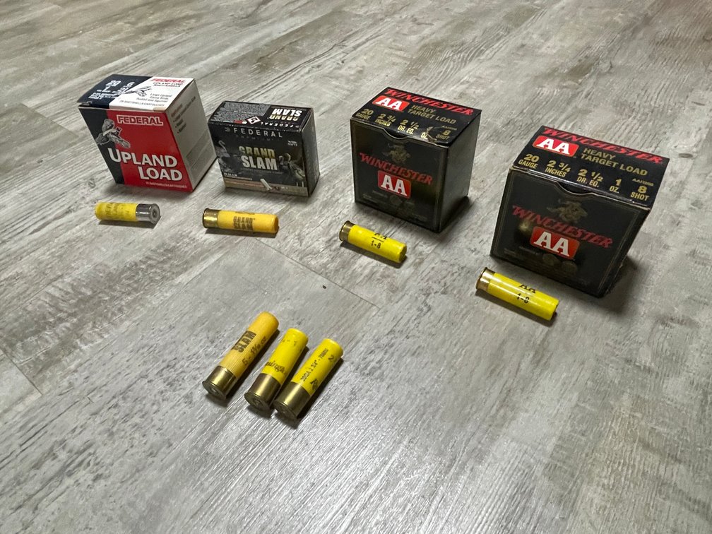 (4) Boxes of 20 Gauge Shells