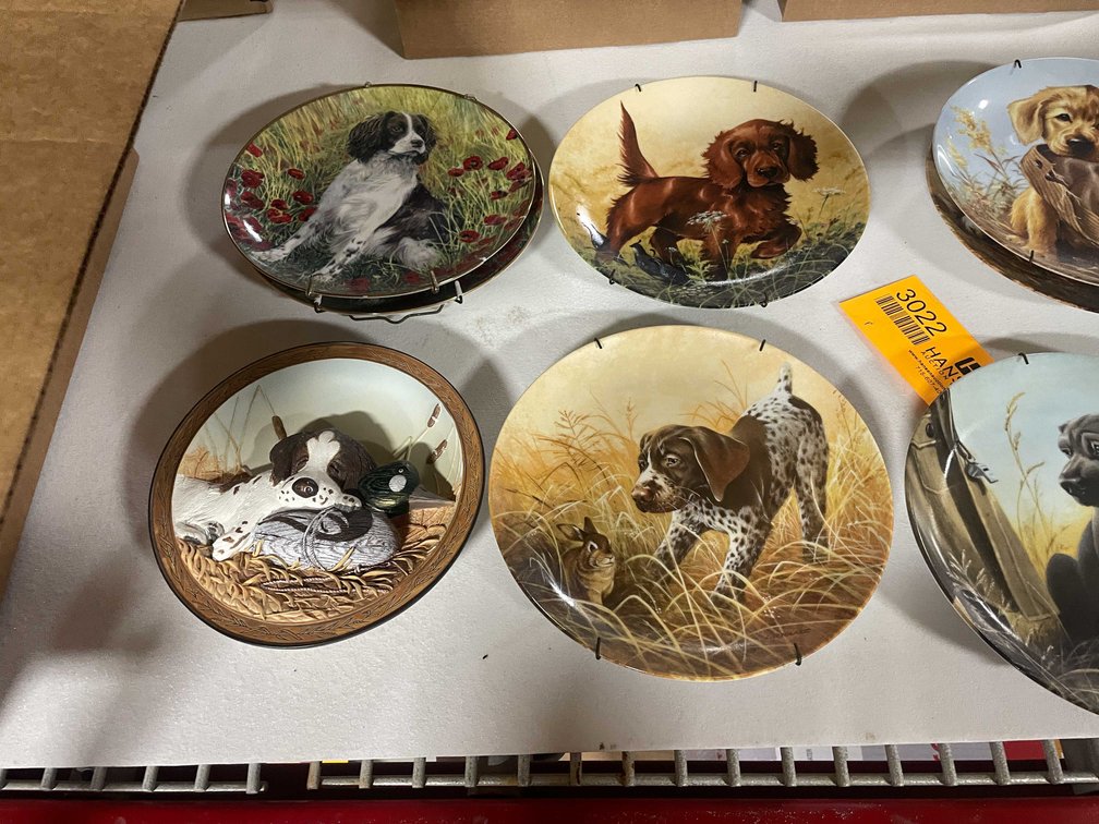 Decorative Plates (T4)