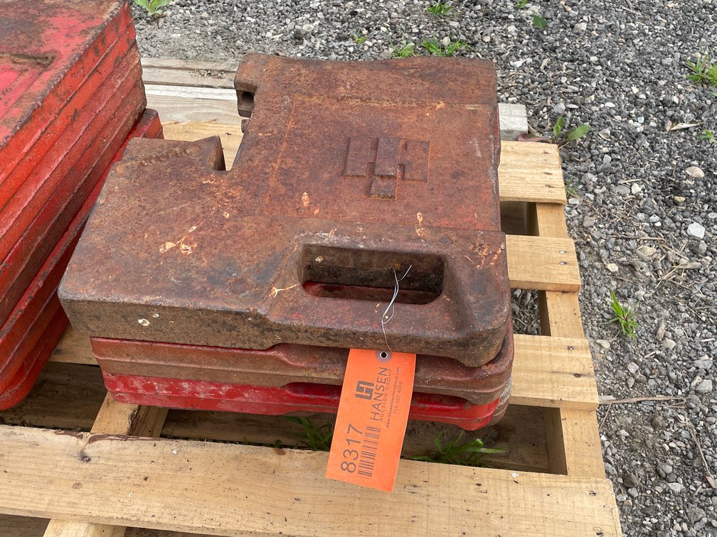 (4) IH Suitcase Weights