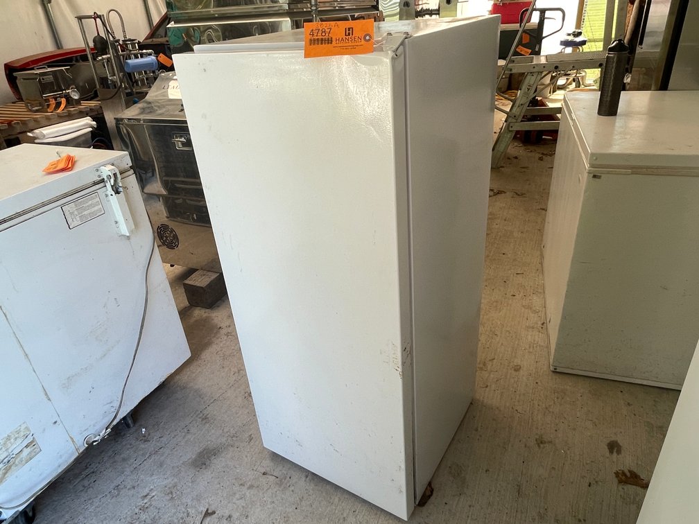 Household Upright Freezer