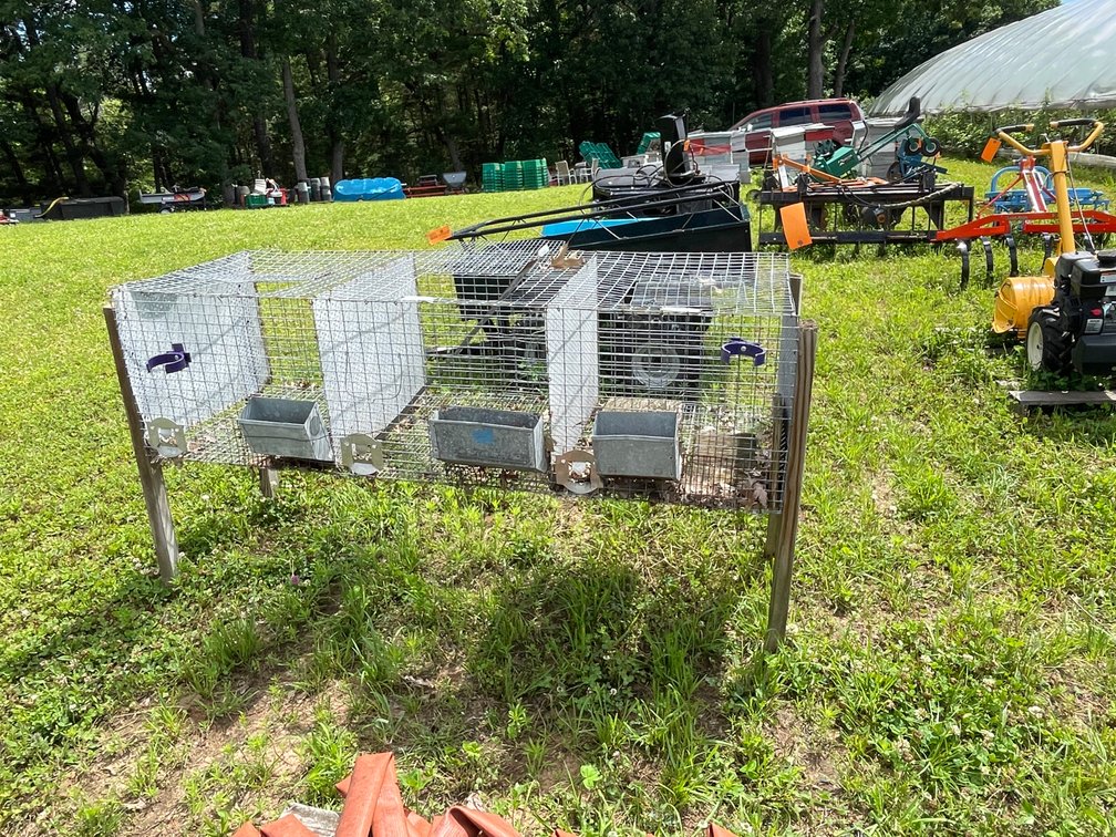 (3) Compartment Rabbit Enclosure