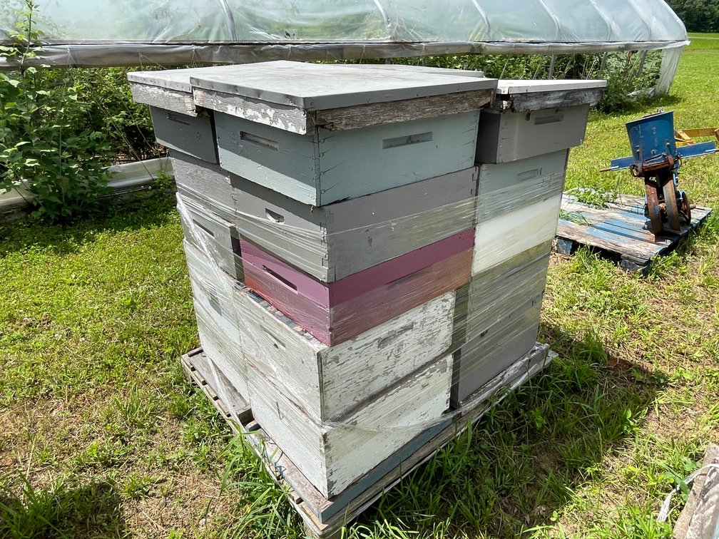 Pallet of Beehive Boxes
