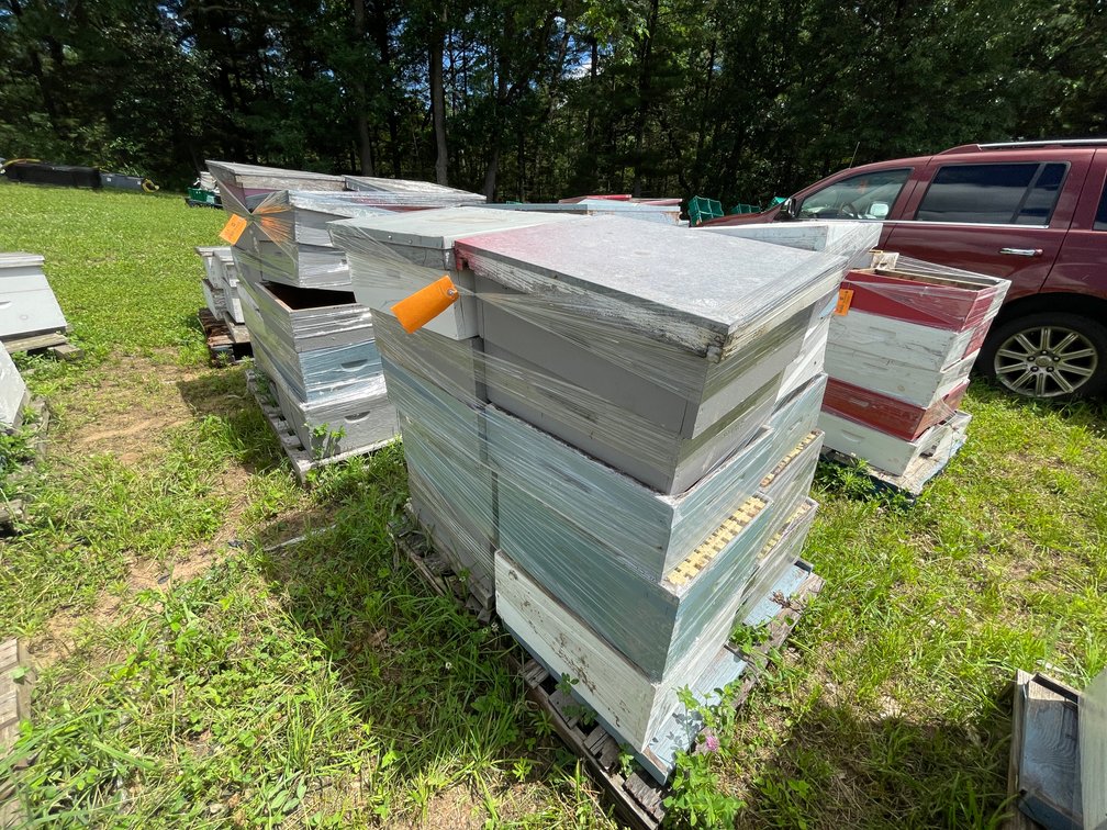 Pallet of Beehive Boxes