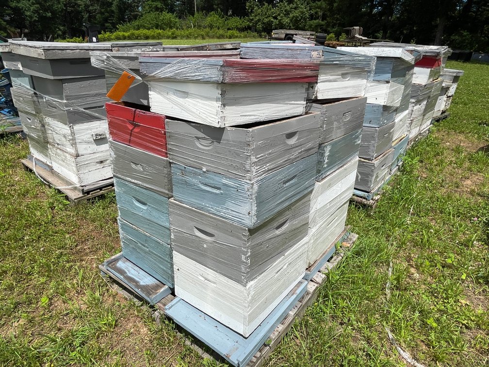 Pallet of Beehive Boxes