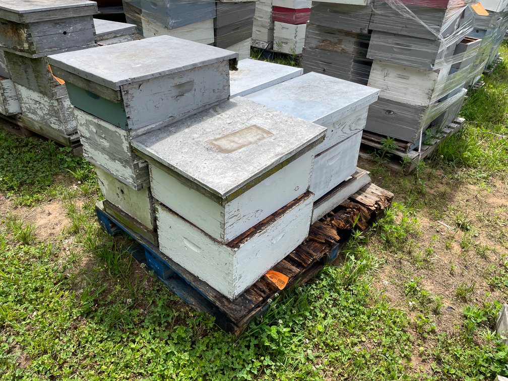 Pallet of Beehive Boxes